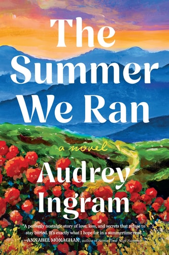The Summer We Ran A Novel book cover