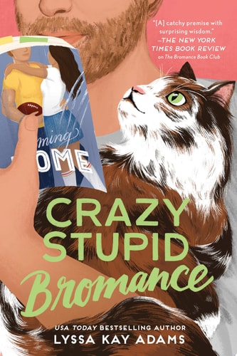 Crazy Stupid Bromance book cover