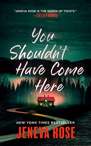 You Shouldn't Have Come Here book cover
