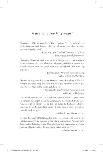 Something Wilder book cover
