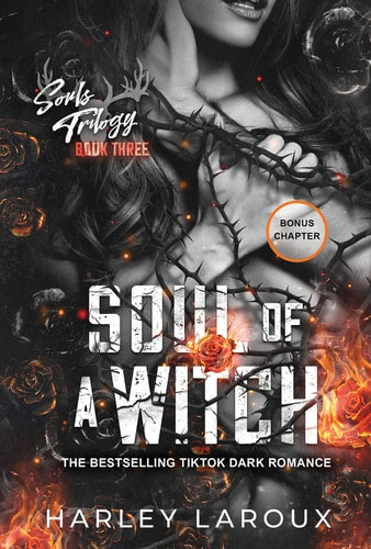 Soul of a Witch A Spicy Dark Demon Romance book cover