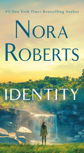 Identity: A Novel book cover