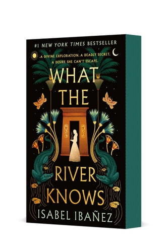 What the River Knows A Novel book cover