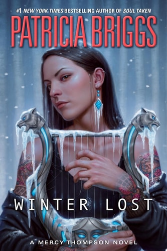 Winter Lost book cover
