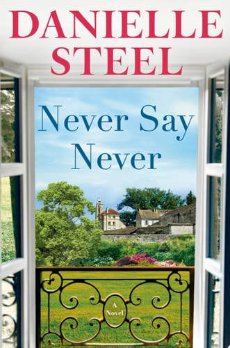 Never Say Never A Novel book cover