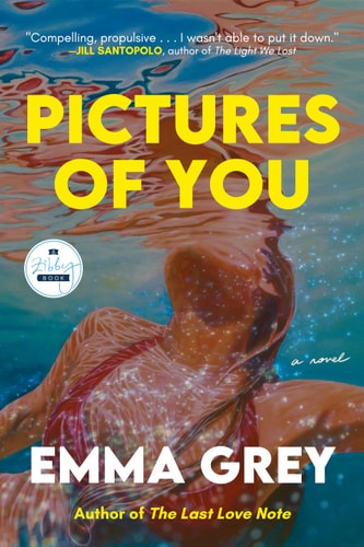 Pictures of You: A Novel book cover