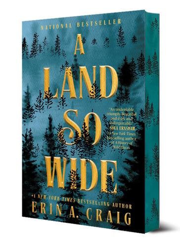 A Land So Wide - A Novel book cover
