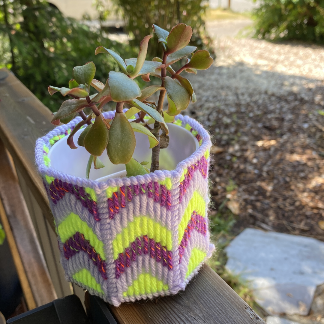 Neon green, purple and lavender needlepoint plant pot cover. Shown with a succulent inside & a hot pink background.