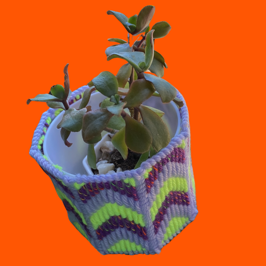 Neon green, purple and lavender needlepoint plant pot cover. Shown with a succulent inside & a bright orange background.