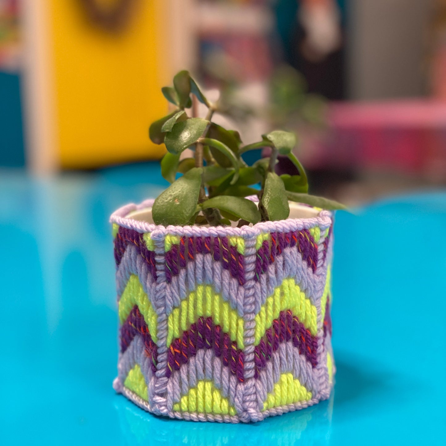 Neon green, purple and lavender plant pot cover in a bargello needlepoint pattern. It is shown on a teal table with a succulent inside it.