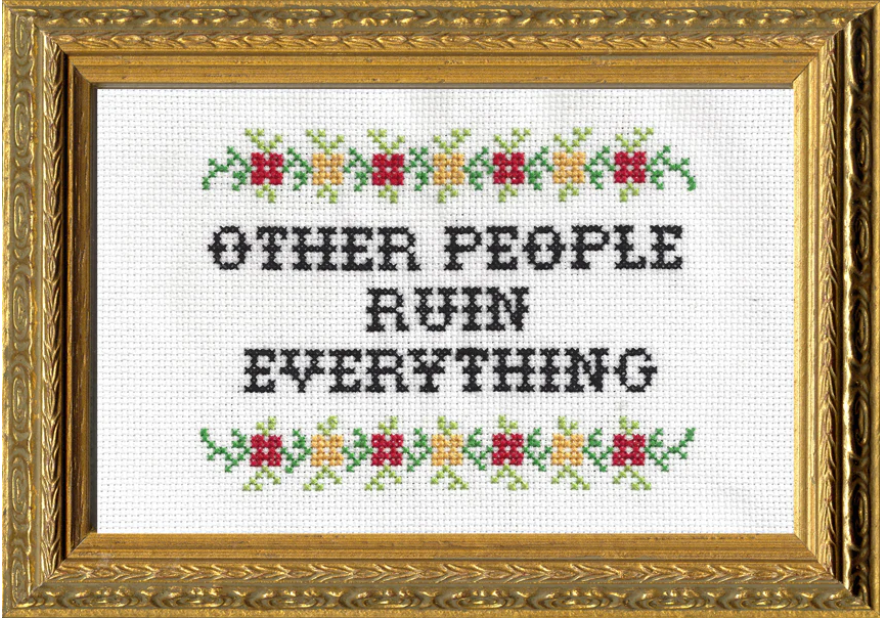 Finished cross stitch kit that says "Other People Ruin Everything" and has floral accents at the top. It is framed in an ornate gold frame.
