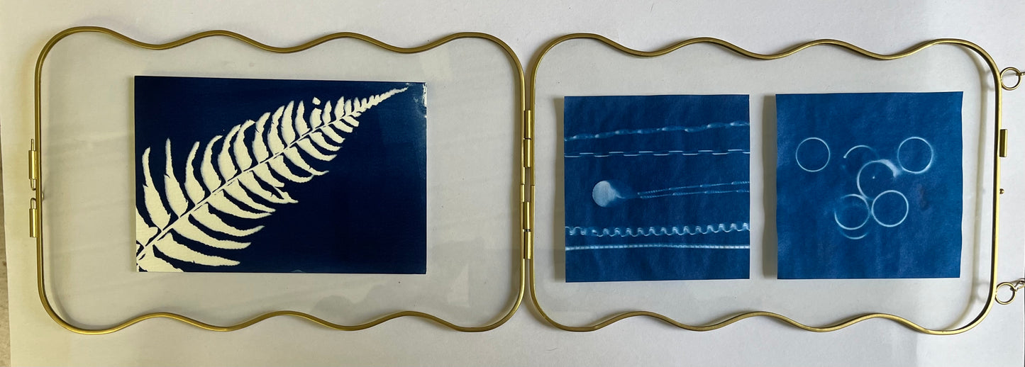 ART CLASS: Cyanotype prints