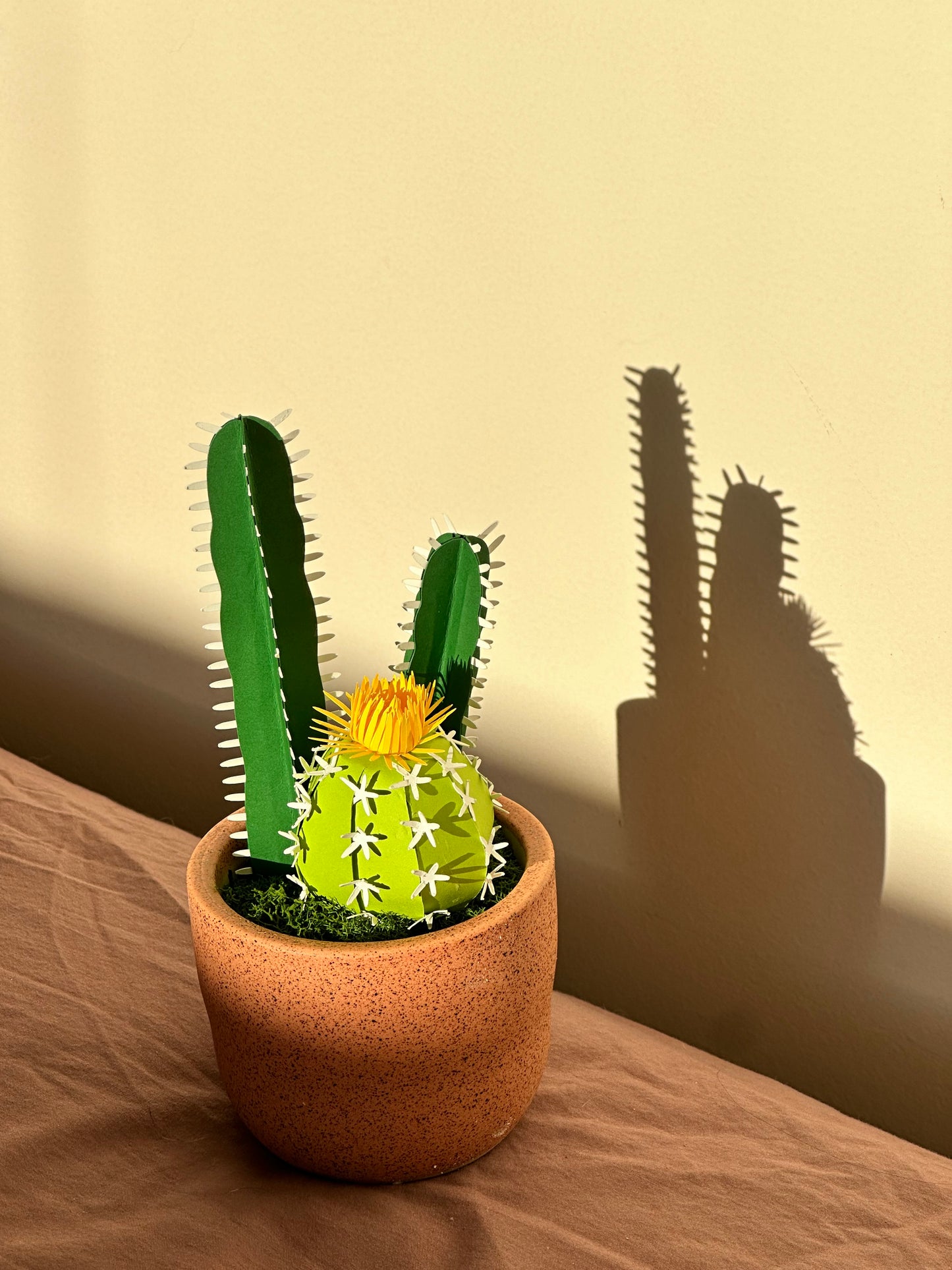 PAPER CLASS: Cactus Potted Plant