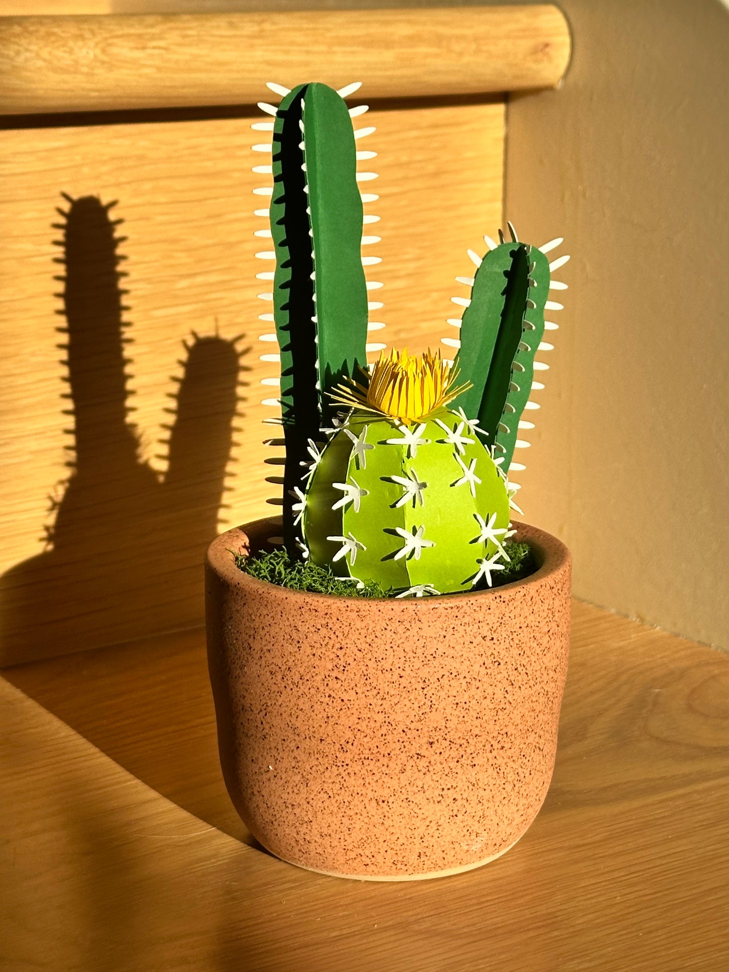 PAPER CLASS: Cactus Potted Plant
