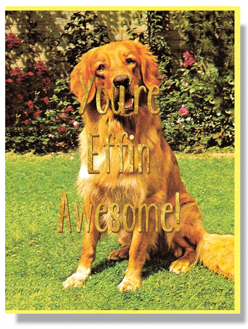 Card - You're Effin Awesome (Smitten Kitten)