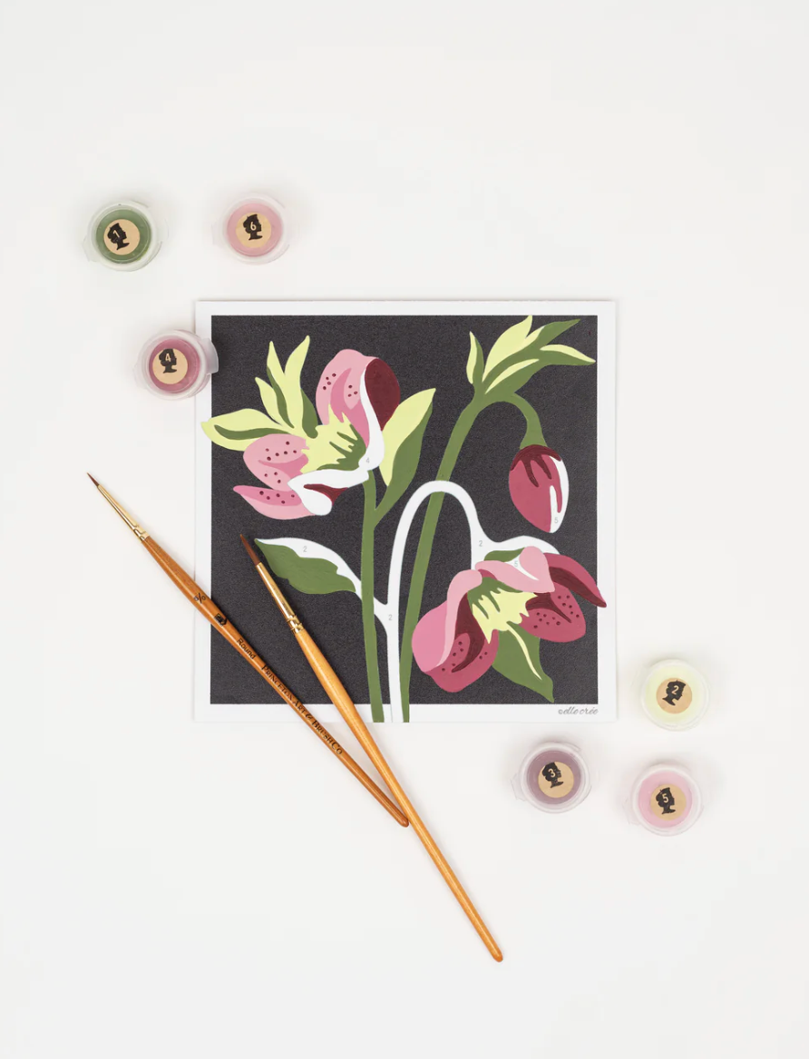 DIY - MINI Paint By Number Kit - Hellebores
