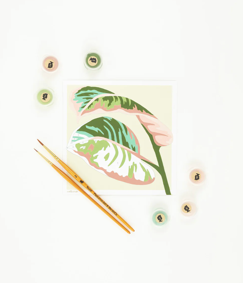 DIY - MINI Paint By Number Kit - Rubber Plant Leaves