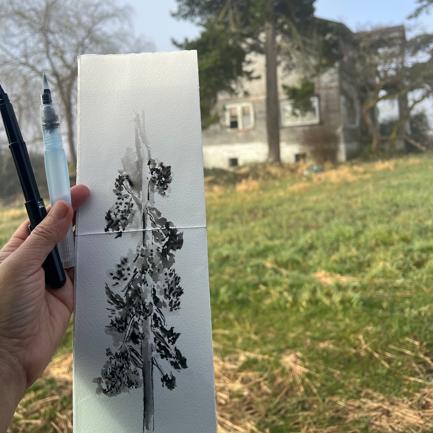 Example drawing of a tree.