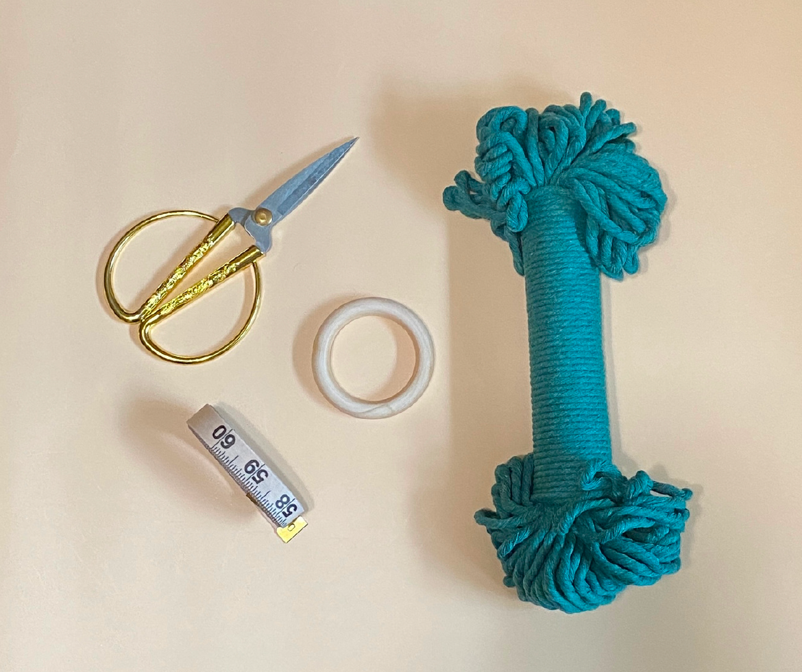 MACRAME CLASS: Plant Hanger