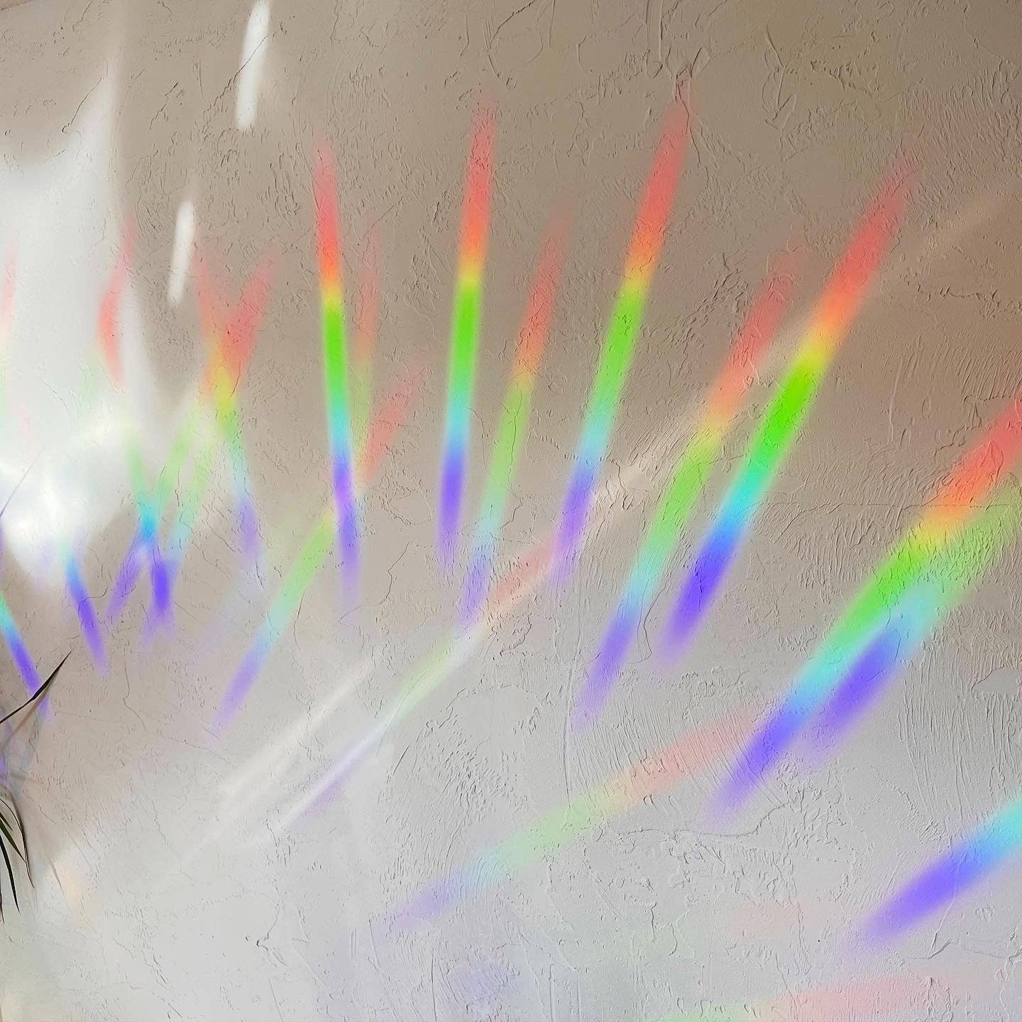 Suncatcher Sticker - Bows
