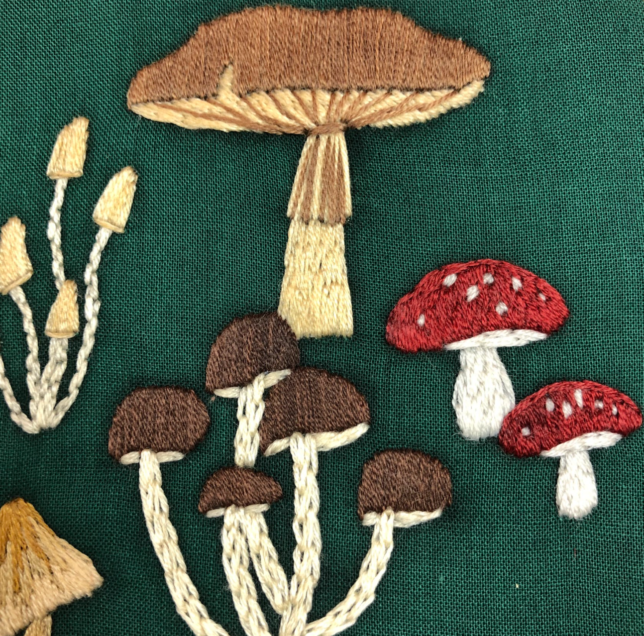 EMBROIDERY CLASS: Magical Mushrooms