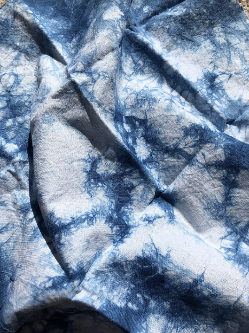 DYEING CLASS: Indigo Dye