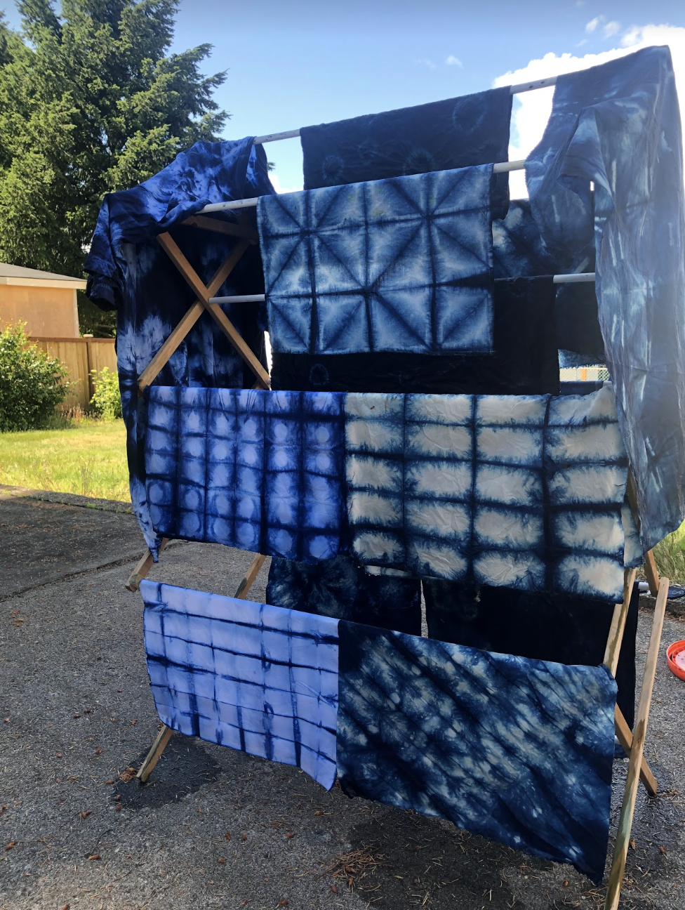 DYEING CLASS: Indigo Dye