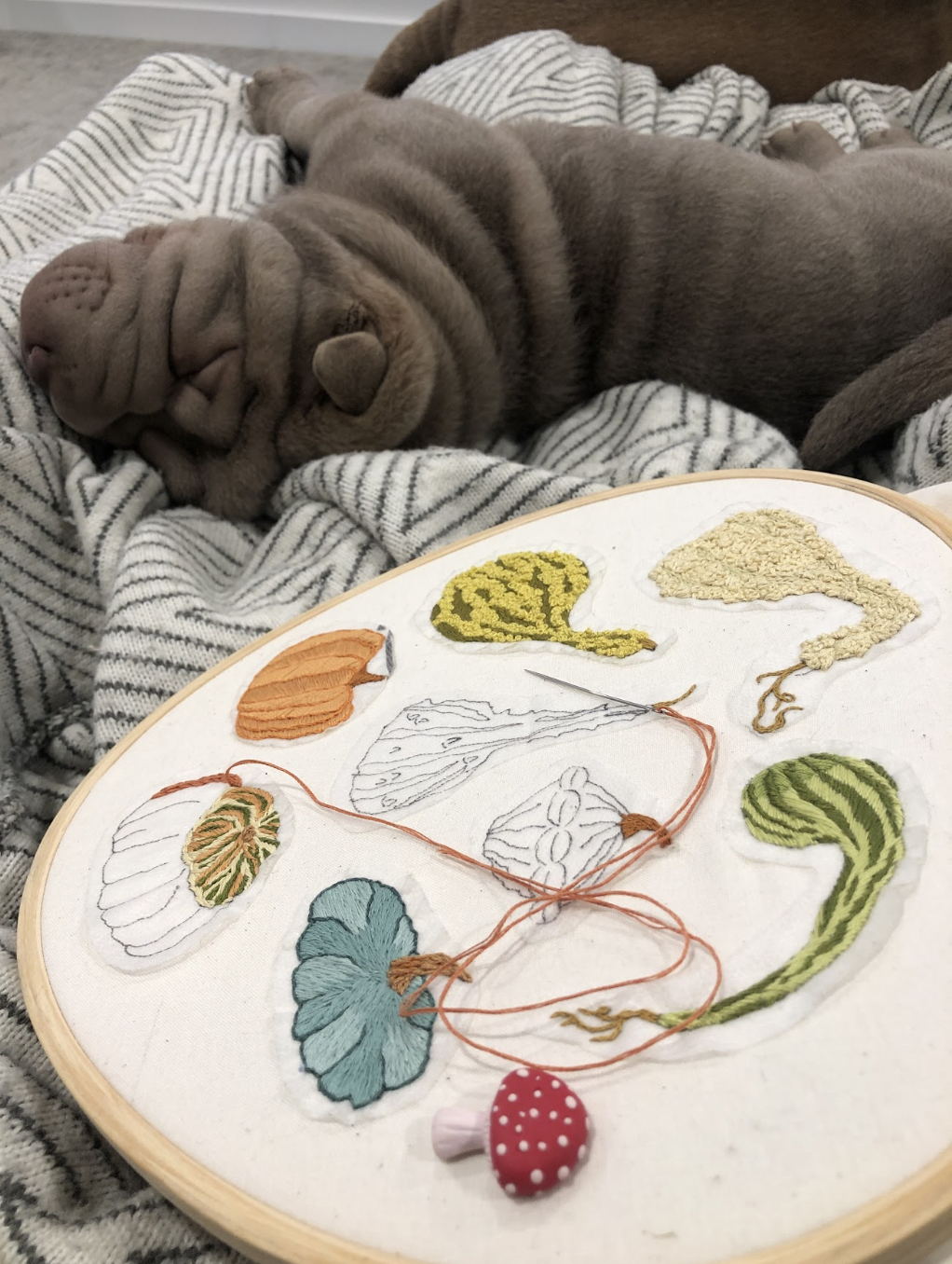 EMBROIDERY CLASS: Textural Gourds
