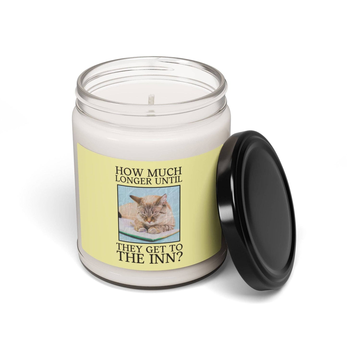 Cat Reading Romance 9 Oz Soy Candle: Funny Romance Trope