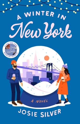 A Winter in New York A Novel book cover