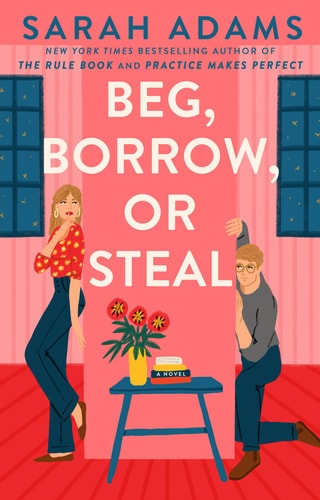Beg, Borrow, or Steal A Novel book cover