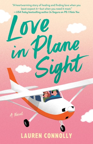 Love in Plane Sight book cover