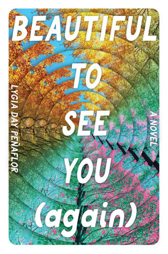 Beautiful to see you (again) book cover