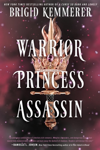 Warrior Princess Assassin A Novel book cover