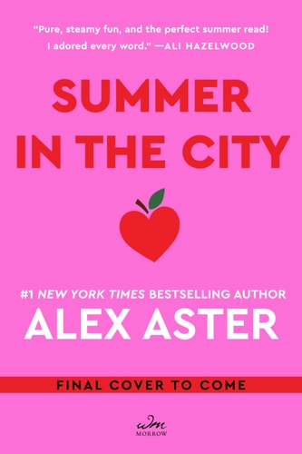 Summer in the City: A Novel book cover