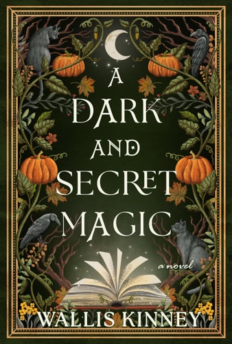 A Dark and Secret Magic A Novel book cover