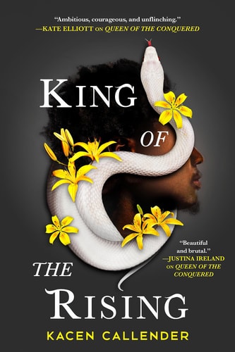 King of the Rising book cover