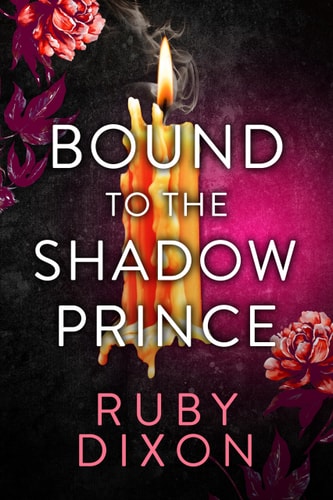 Bound to the Shadow Prince book cover