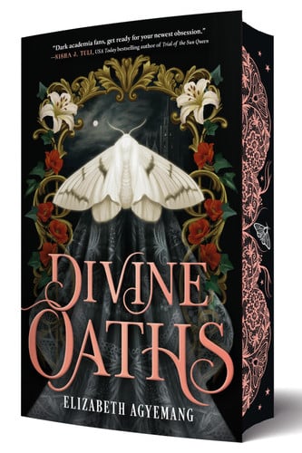 Divine Oaths book cover