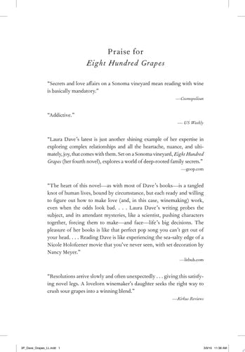 Eight Hundred Grapes A Novel book cover