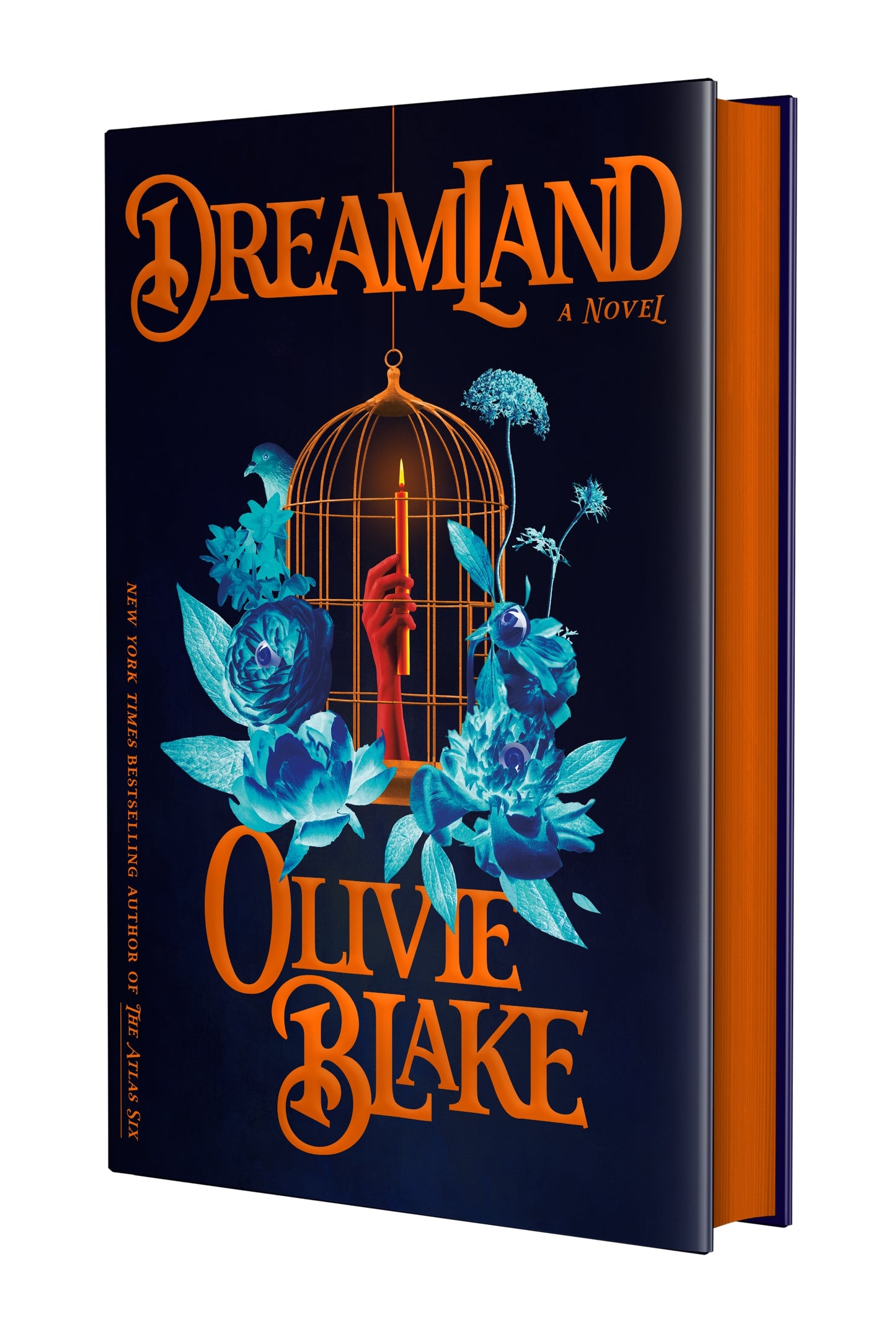 Dreamland (signed copy)