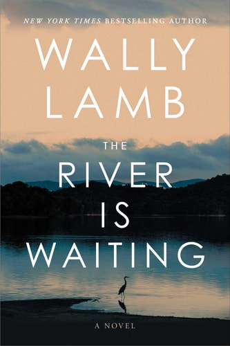 The River Is Waiting (Oprah's Book Club) A Novel book cover