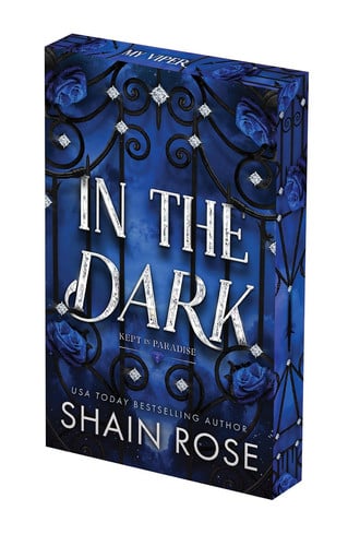 In the Dark: Deluxe Limited Edition book cover