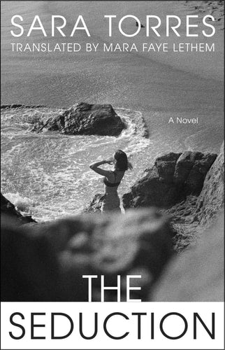 The Seduction A Novel book cover