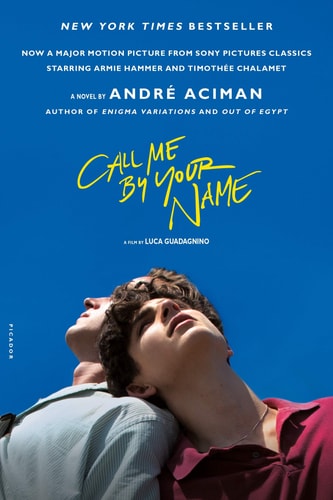 Call Me by Your Name: A Novel book cover