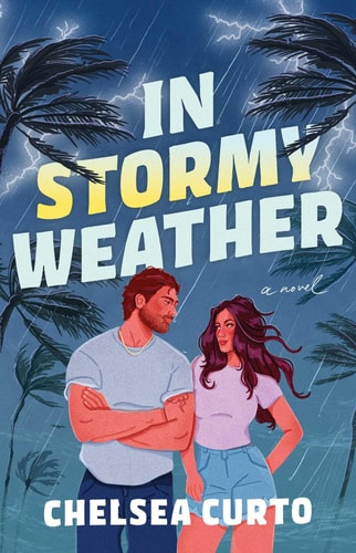 In Stormy Weather: A Novel book cover