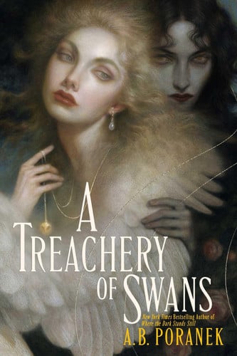 A Treachery of Swans book cover