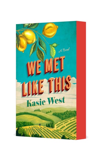 We Met Like This A Novel book cover