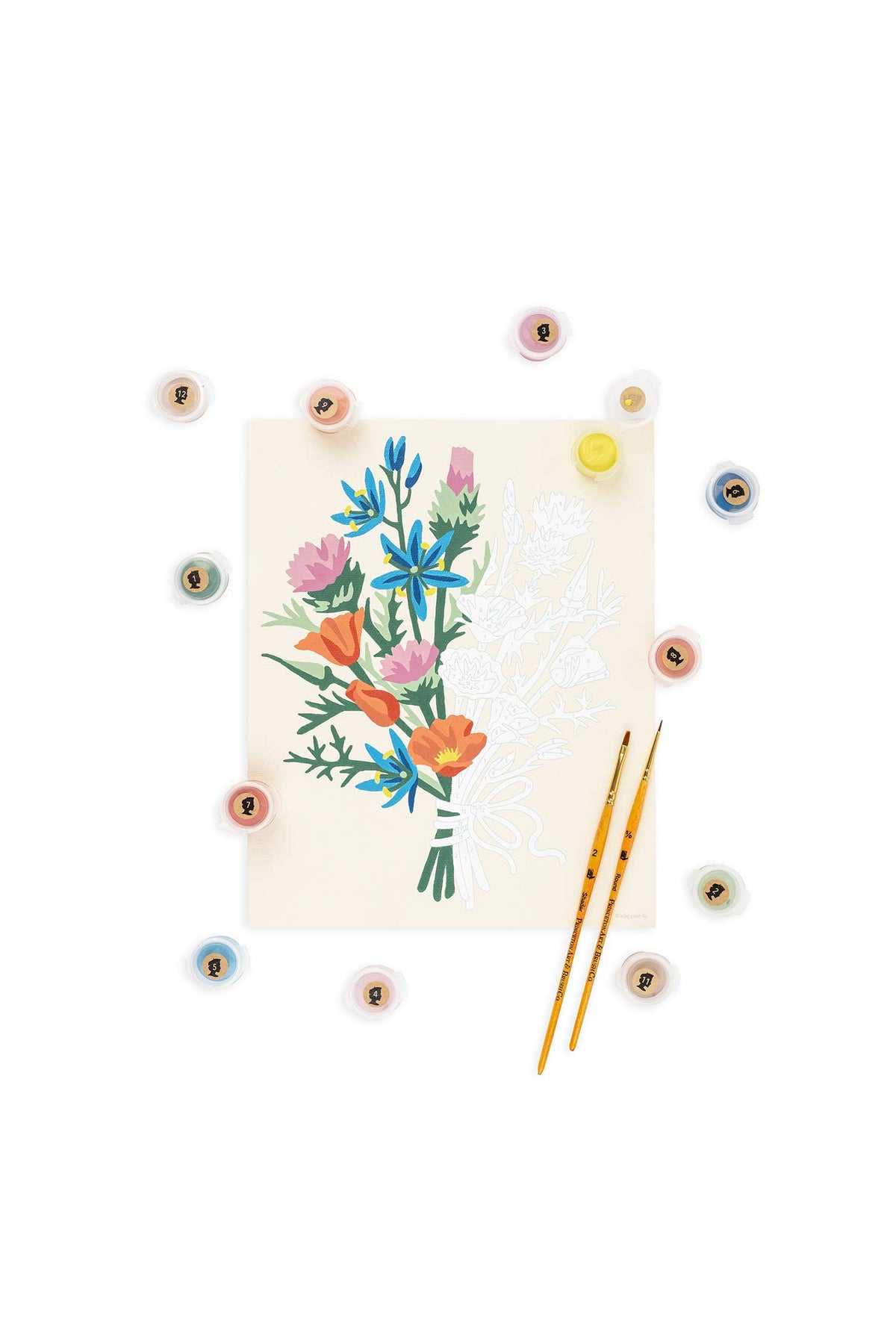 California Wildflowers Paint-by-Number Kit