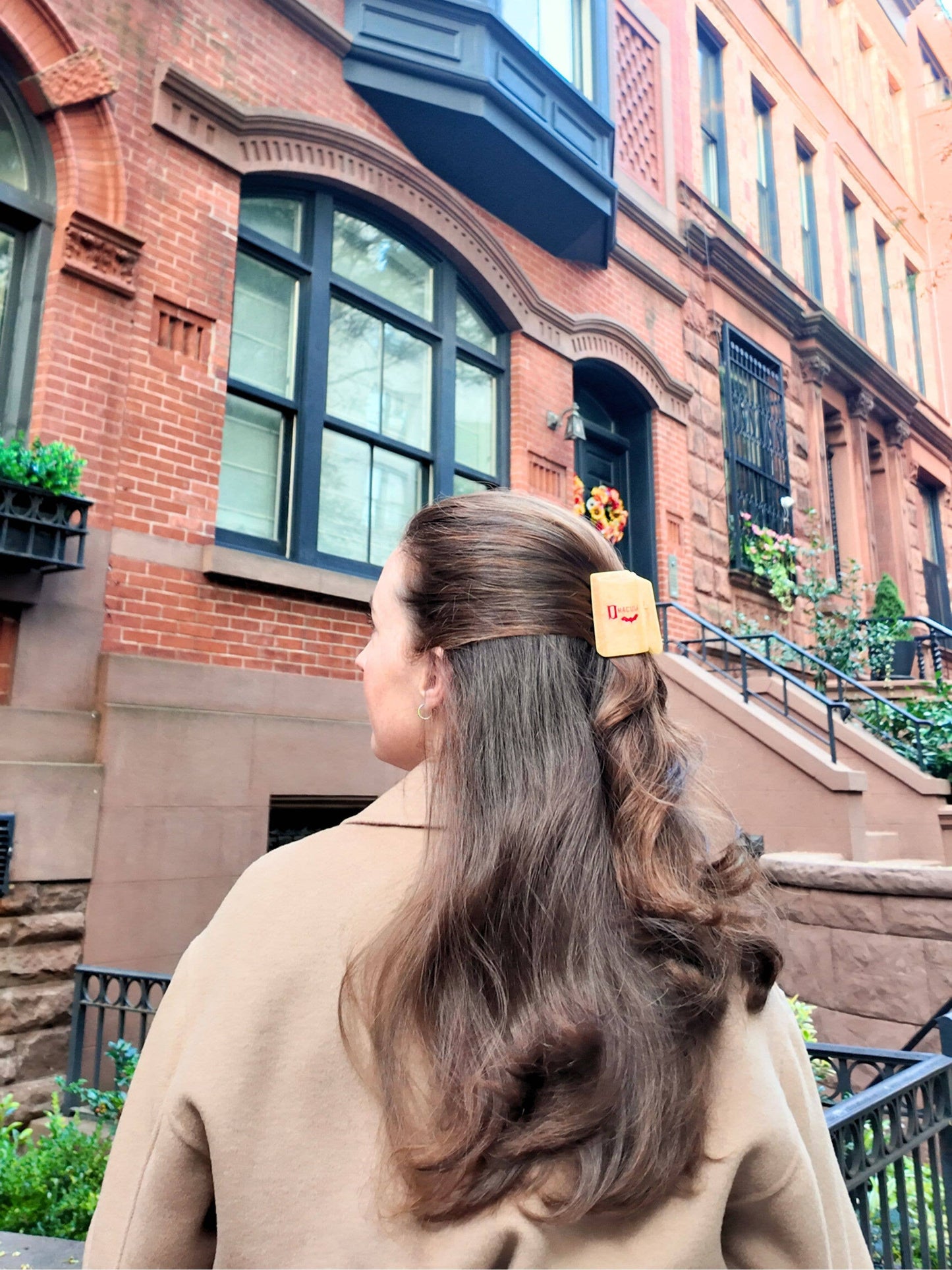 Hand-painted Dracula Mini Book Claw Hair Clip | Eco-Friendly